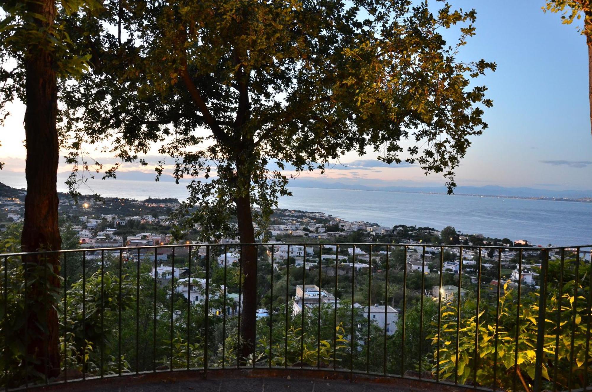 La Capannina - Hotel & Apartments Ischia Exterior foto