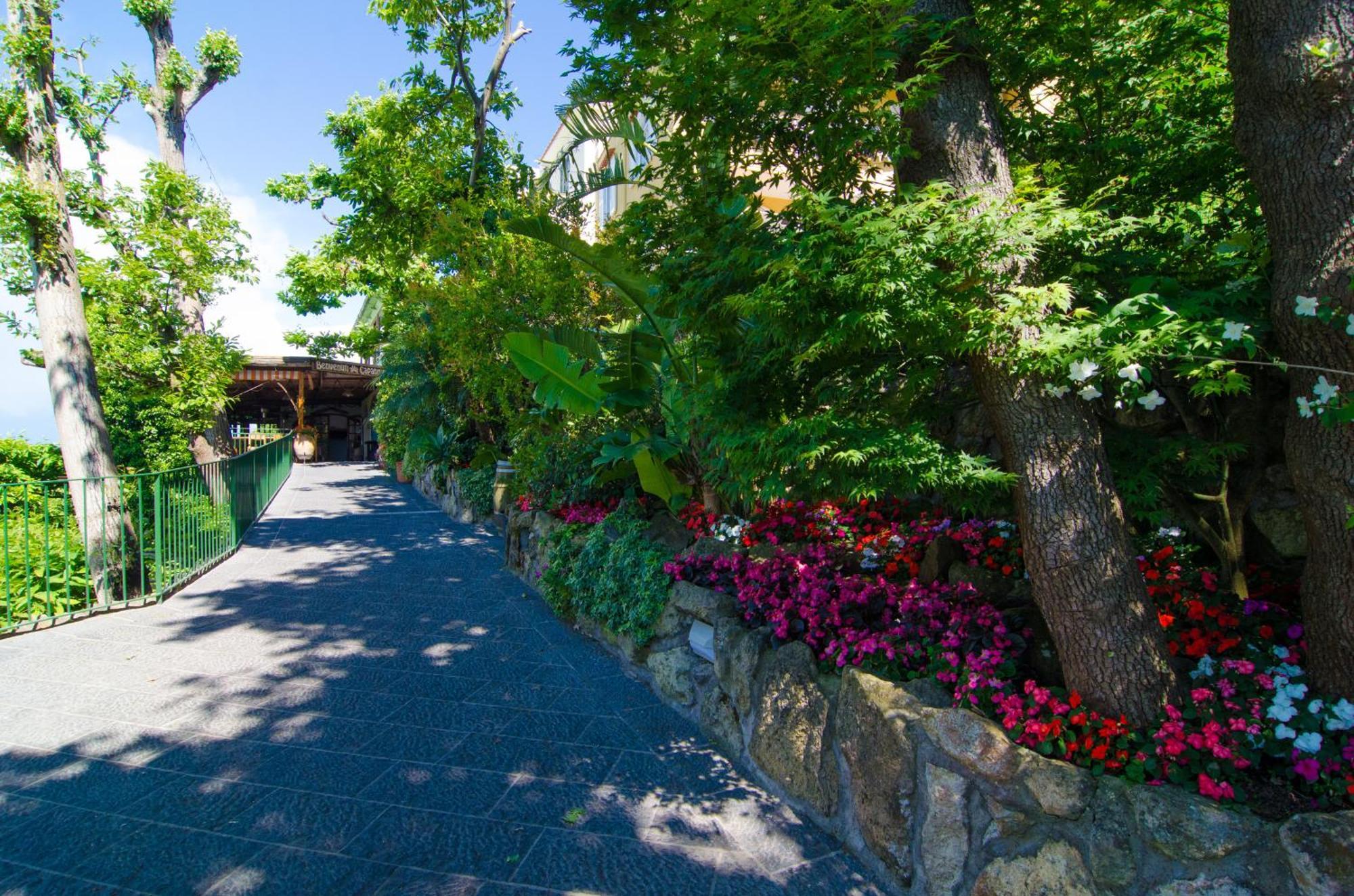 La Capannina - Hotel & Apartments Ischia Exterior foto